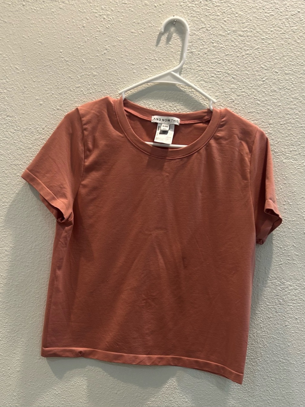 And Now This Women's Short Sleeve Crewneck Tee in Dusty Rose